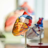 Survivre à une rupture d'aorte : c'est possible ?
